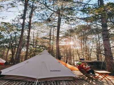 TOP 5 ĐỊA ĐIỂM CẮM TRẠI HOT NHẤT ĐÀ LẠT