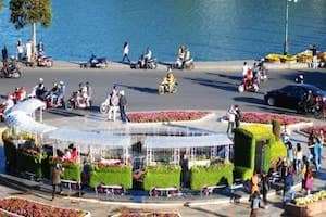 Đoàn tàu hoa sống động giữa lòng 