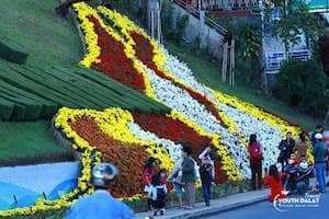 Hình Ảnh Đẹp Của Đà Lạt những Ngày Đầu Chuẩn Bị Festivel 2015