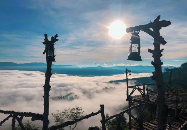 SĂN MÂY – TRẢI NGHIỆM SẢN PHẨM ĐẶC BIỆT ĐÀ LẠT (TTV20)