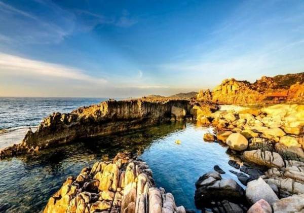 ĐÀ LẠT - NHA TRANG: HÀNH TRÌNH CAO NGUYÊN & BIỂN XANH