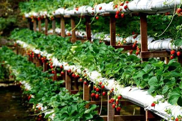 du lịch mạo hiểm ở Việt Nam du lịch mạo hiểm ở Việt Nam