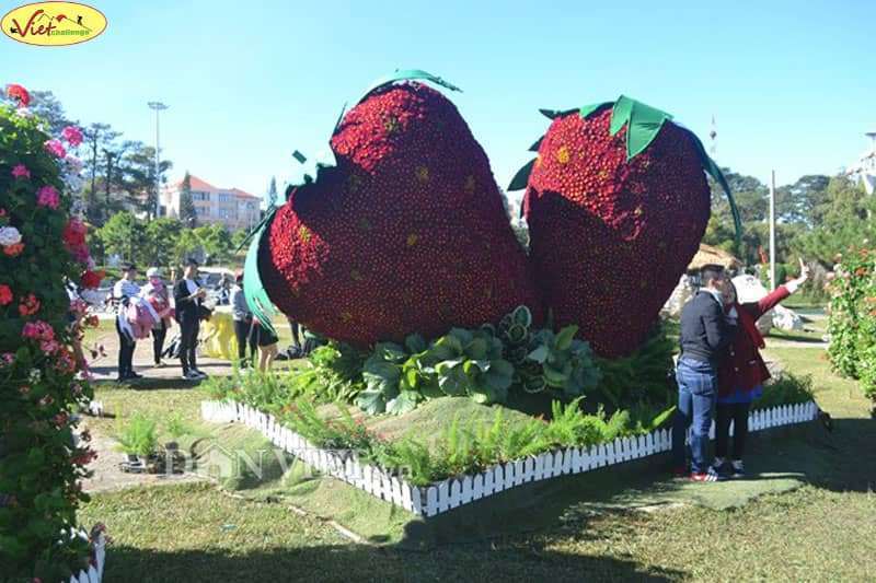 Festival Hoa Đ&agrave; Lạt