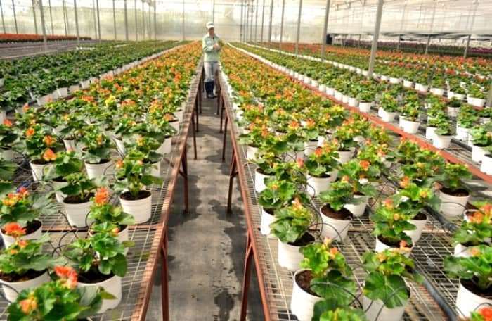 vẻ đẹp Đà Lạt vẻ đẹp Đà Lạt