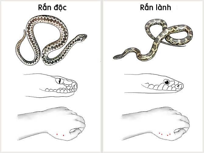 Mẹo hay trong cuộc sống Mẹo hay trong cuộc sống