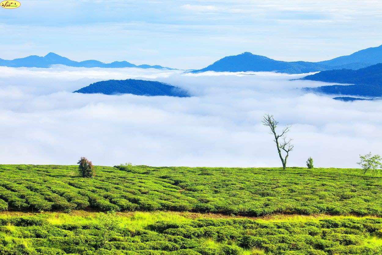 dalat canyon tour dalat canyon tour