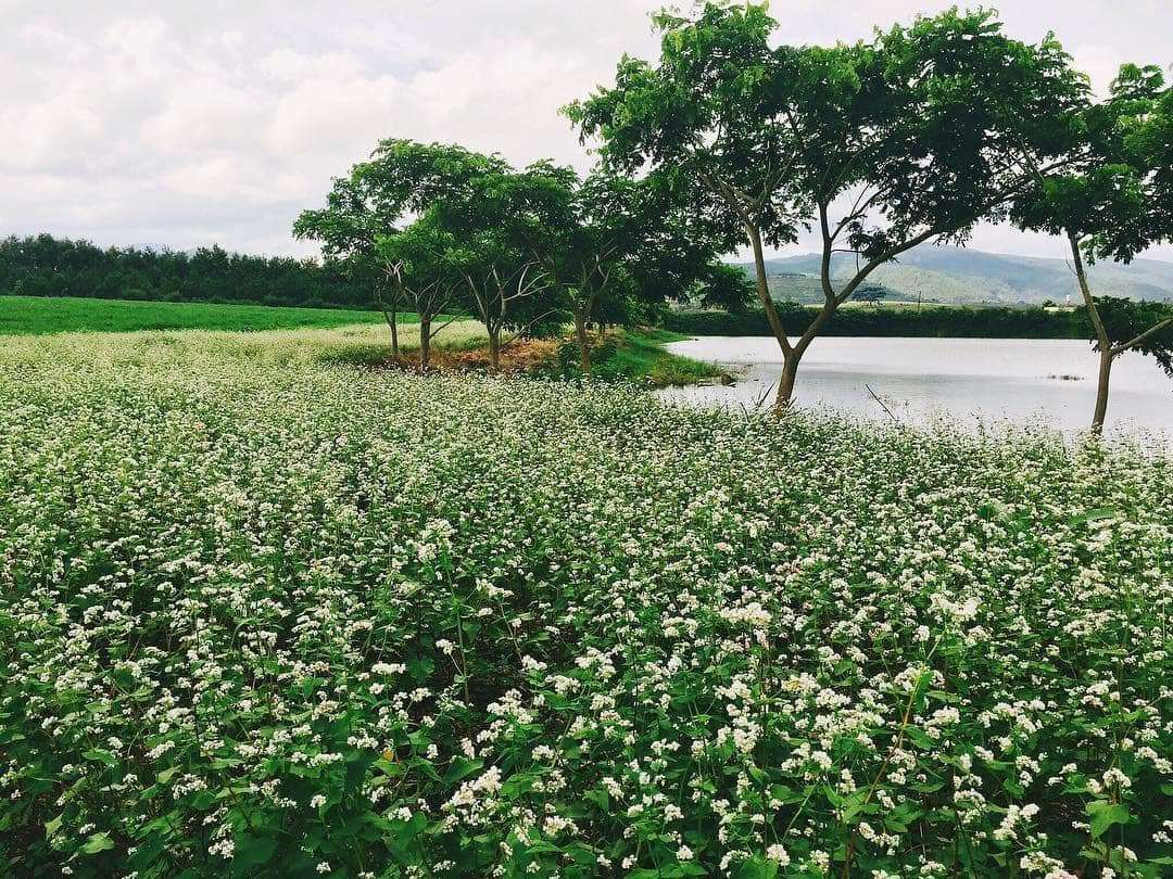 đạp xe địa h&igrave;nh tại Đ&agrave; Lạt