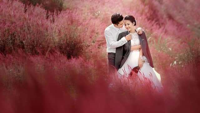 cỏ hồng đ&agrave; lạt