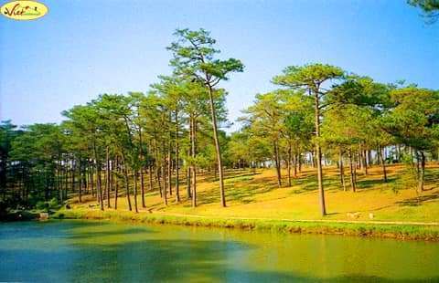 du lịch Đ&agrave; Lạt