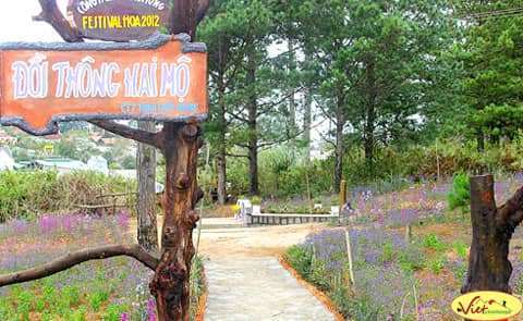 du lịch Đ&agrave; Lạt