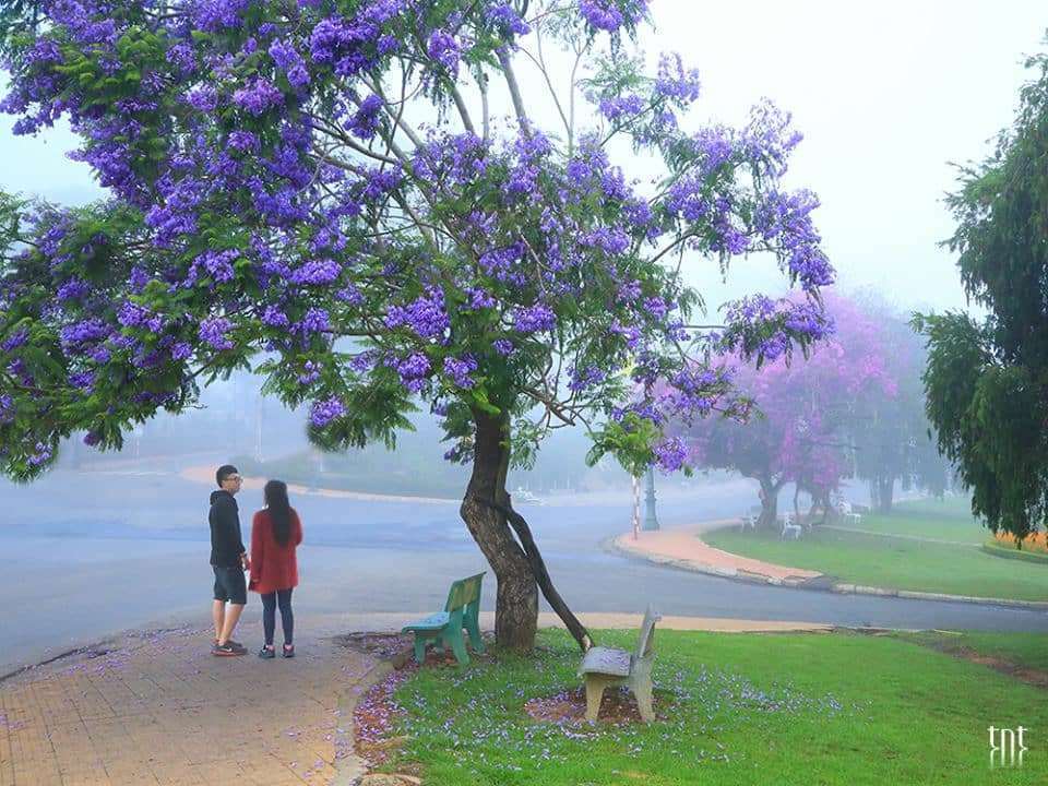 đu d&acirc;y vượt th&aacute;c tại Đ&agrave; Lạt