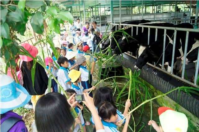đu dây vượt thác tại Đà Lạt đu dây vượt thác tại Đà Lạt