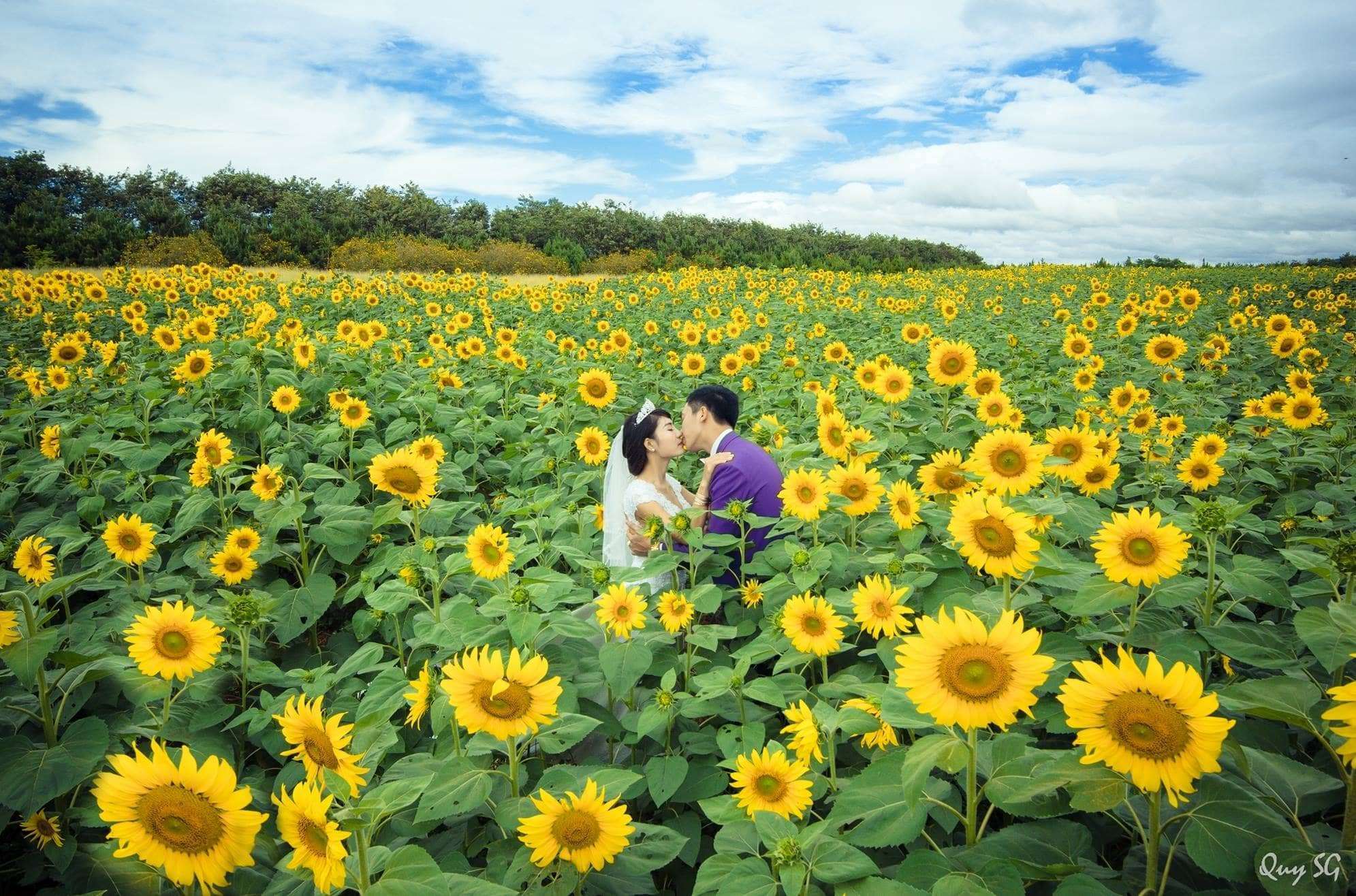 đu d&acirc;y vượt th&aacute;c tại Đ&agrave; Lạt
