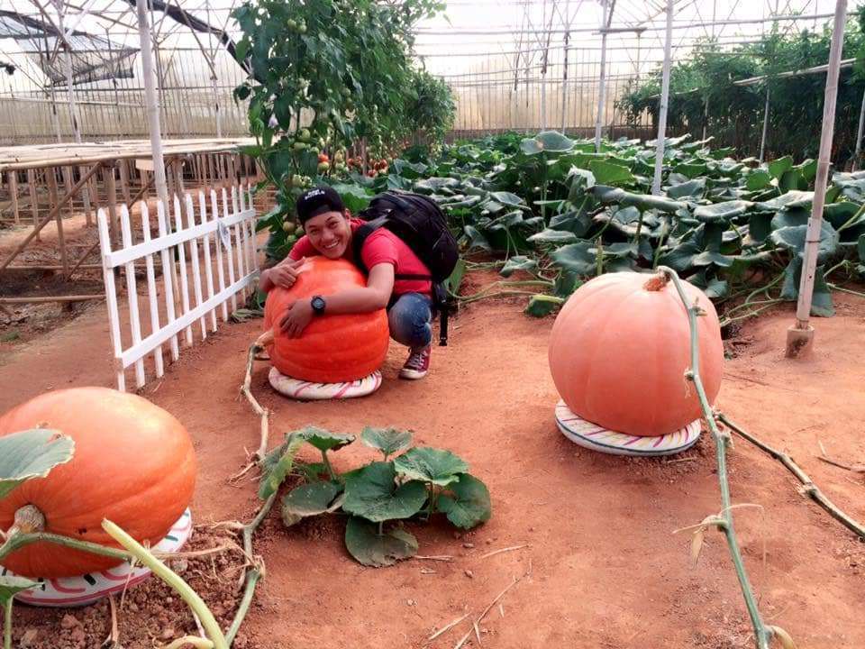 du lịch đà lạt du lịch đà lạt