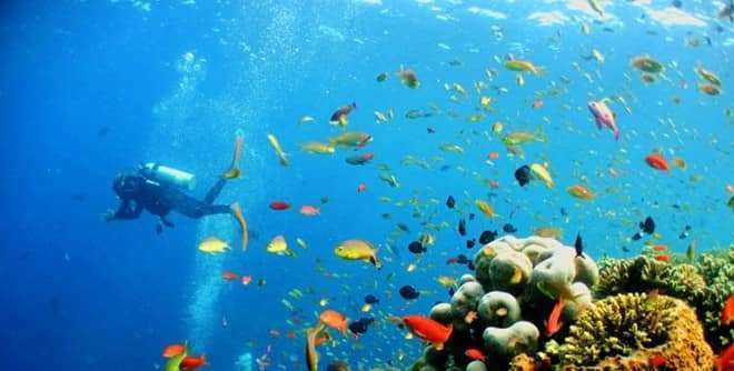 chèo thuyền kayak tại Đà Lạt chèo thuyền kayak tại Đà Lạt