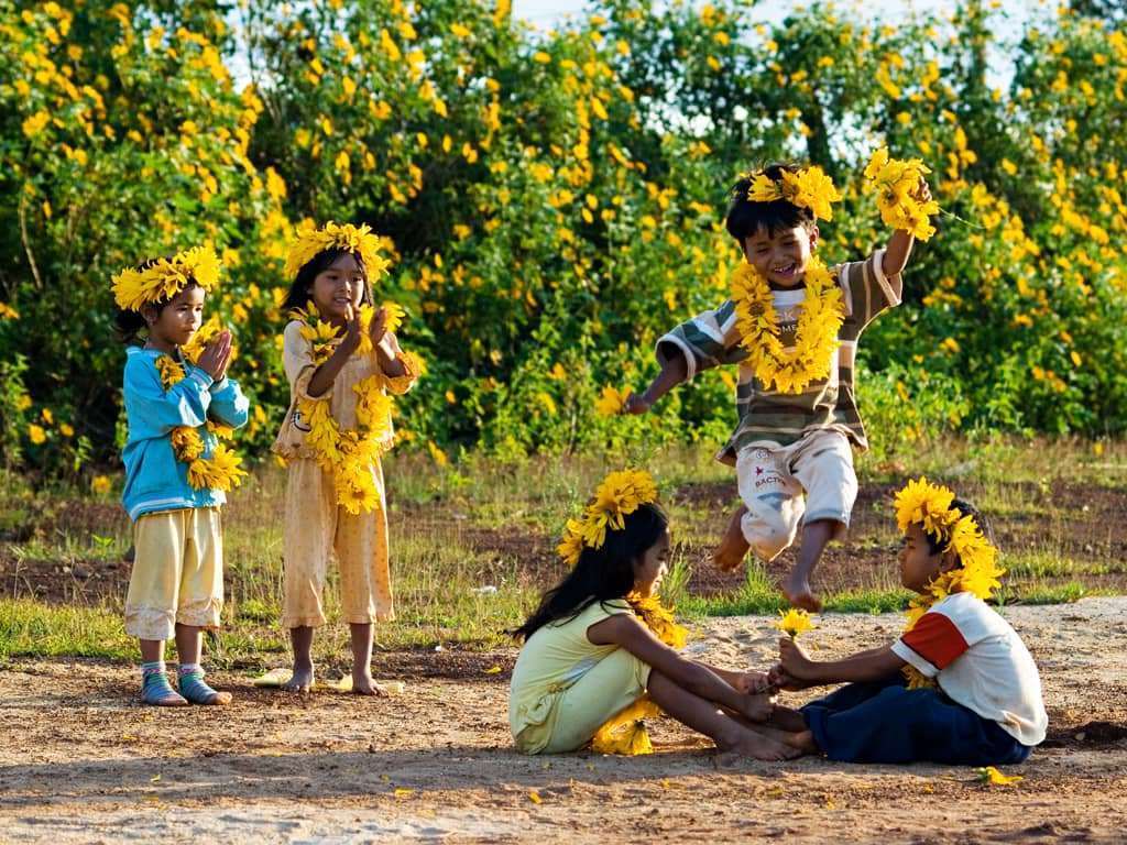 hoa d&atilde; quỳ đ&agrave; lạt th&aacute;ng 10