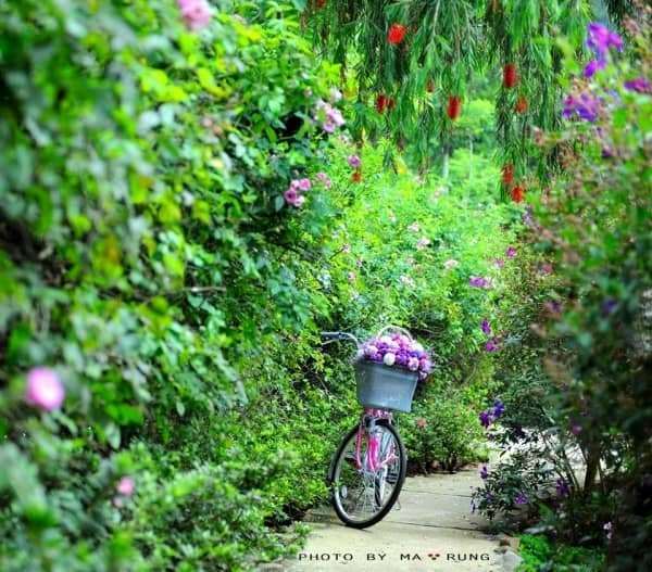Dalat canyon tour Dalat canyon tour