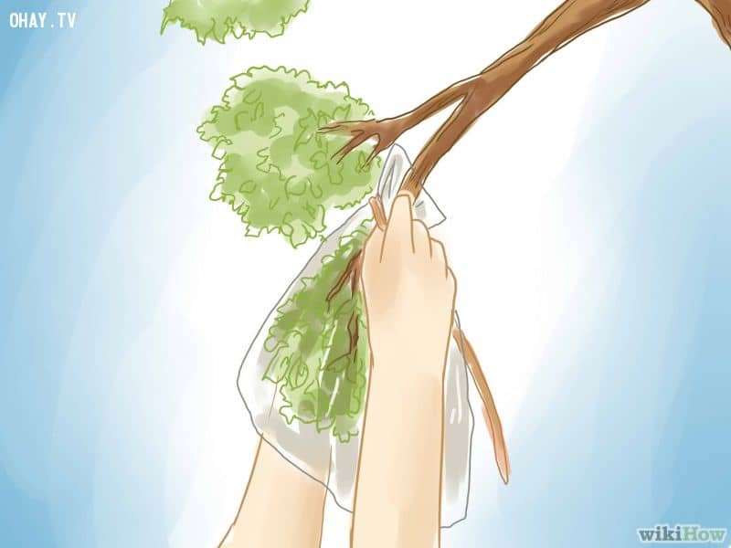 Mẹo hay trong cuộc sống Mẹo hay trong cuộc sống