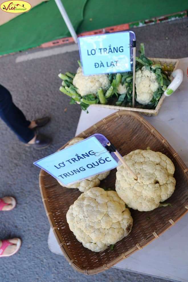 Rau quả Đ&agrave; Lạt