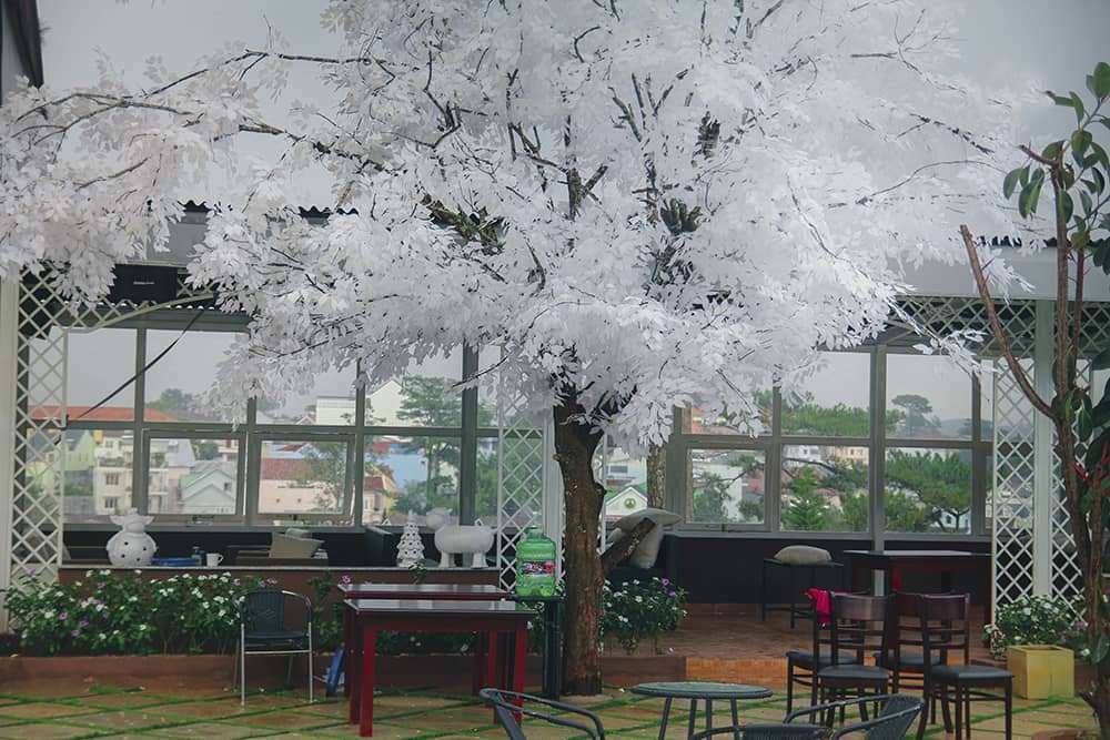 chèo thuyền vượt ghềnh thác tại Đà Lạt chèo thuyền vượt ghềnh thác tại Đà Lạt