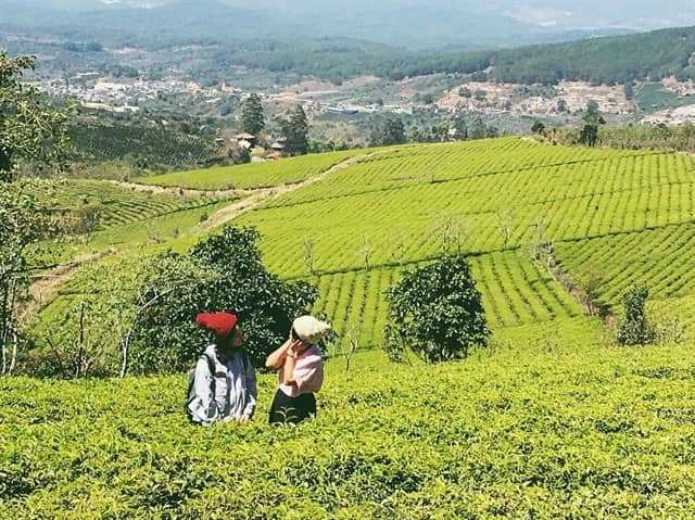dalat canyon tour