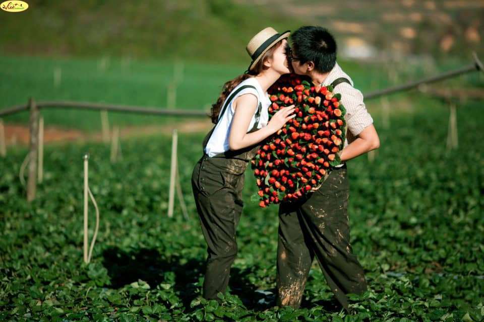 Top 5 những địa điểm du lịch cho mùa Valentine Top 5 những địa điểm du lịch cho mùa Valentine